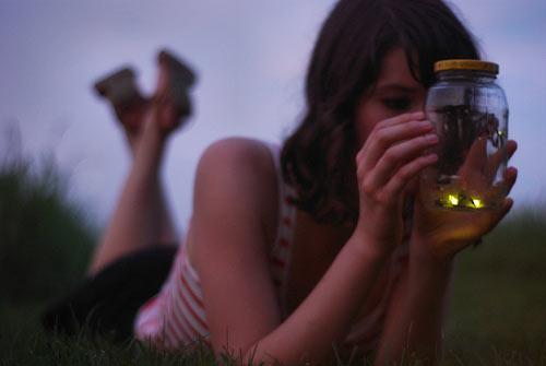 Fireflies! Fireflies!