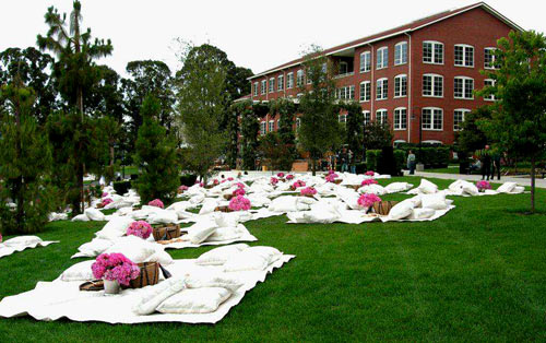 Picnic! Picnic!
