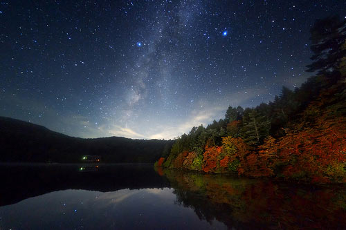 Stars! Stars!
