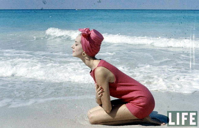 Don't Just Survive, THRIVE! How To Become The Best Possible Version Of Yourself Don't Just Survive, THRIVE! How To Become The Best Possible Version Of Yourself