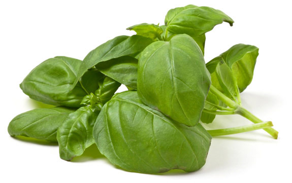 10 Plants To Attract Love, Joy And Prosperity 10 Plants To Attract Love, Joy And Prosperity
