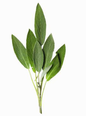 10 Plants To Attract Love, Joy And Prosperity 10 Plants To Attract Love, Joy And Prosperity